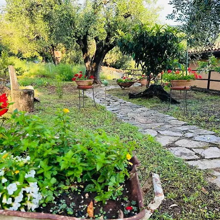 Le Casette Di Nino Marina di Camerota